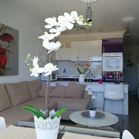 Aloe New Excellence Apartment Playa del Ingles  Exterior photo