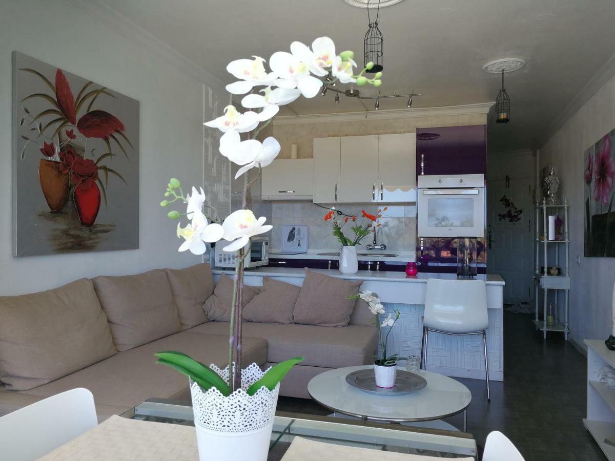 Apartamento Aloe New Excellence